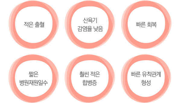 ÀÚ¿¬ Ãâ»êÀÇ ÀåÁ¡