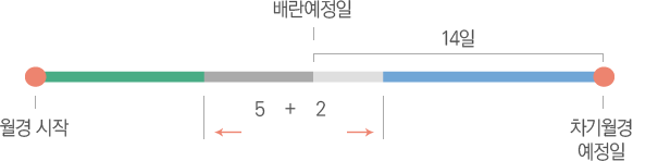 ¿ù°æÁֱⰡ ±ÔÄ¢ÀûÀÎ °æ¿ìÀÇ °¡ÀӱⰣ