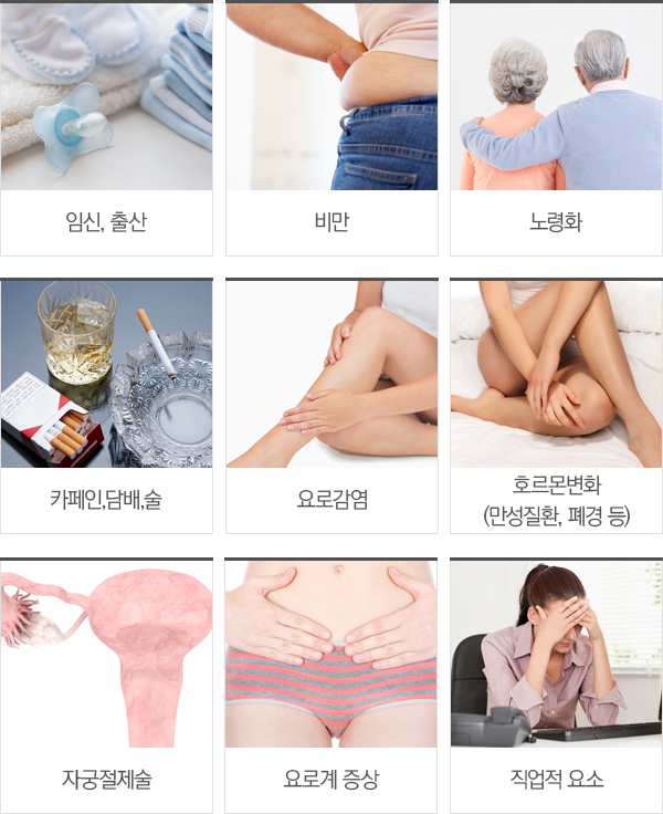 ¿ä½Ç±Ý ¿øÀÎ